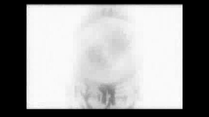 Hellsing Amv (bloodlust)