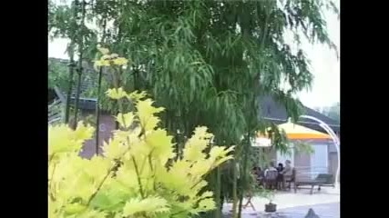Toselli's Serenade - Andre Rieu - Japanese Water Garden