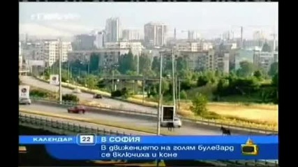 Господари на Ефира - Каруцарите не признават Борисов