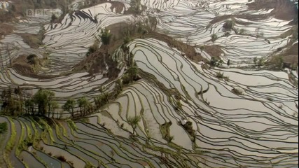 Bbc - Дивата красота на Китай Терасовидни оризища 