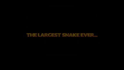 World's 10 Biggest Animals of All Time