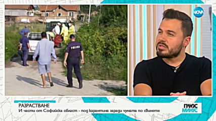 Експерти: До края на август африканската чума ще обхване цялата страна
