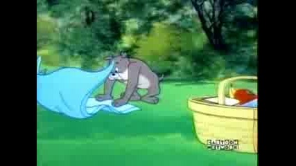 Tom and Jerry - Pup on a Picnic