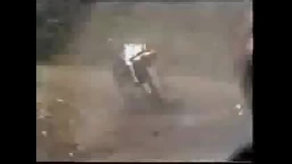 Тежка Рали катастрофа !!!