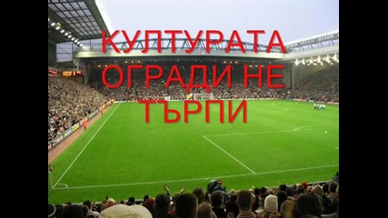 Родните стадиони
