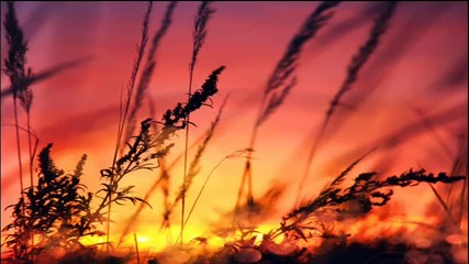 Something Wonderful - Silent Force