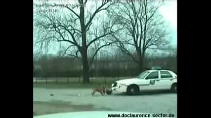 Dogs Vs Police 