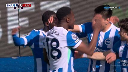 Goal by Brighton and Hove Albion