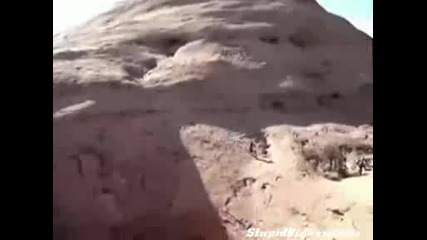 Това наистина граничи със самоубийство