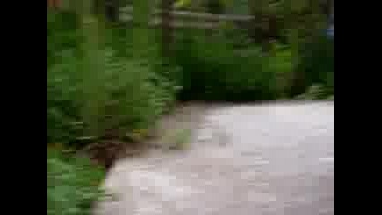 Сладко Кученце
