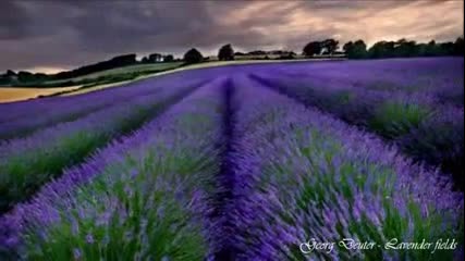 Georg Deuter Lavender fields (hd)