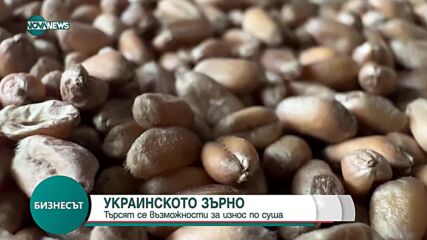 Украинското зърно: ЕС търси възможности за износ по суша