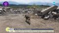 За първи път у нас: Обучават кучета спасители за действия при земетресения