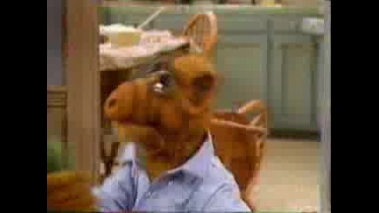 Alf Pevec :d