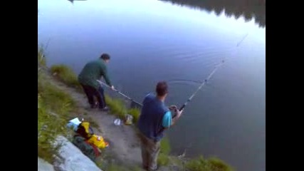 Риболов на шаран 