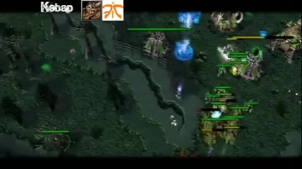 Dota Pro 