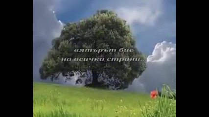 Neda Ukraden -шуми, шуми, Яворе -bg Prevod- uget.flv