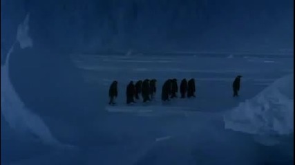 Пингвини се присмиват на друг, който пада