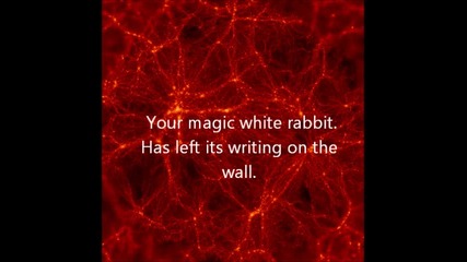 Egypt Central- white rabbit