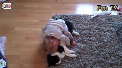Компилация Смях ! Cute Cats and Dogs Love Babies Compilation 2015