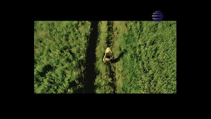 kameliq - useshtam te oshte