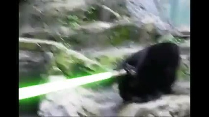 - Кунг - Фу мечка с лазерен меч 