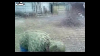 Сам си го изпроси!