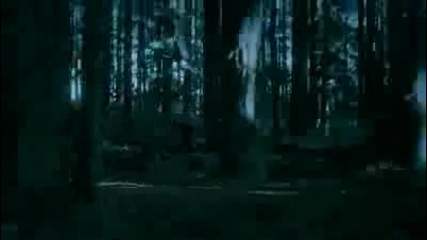 Eclipse Clip Ravine Chase - Official 