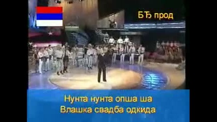 Vlaska svadba - Zorica Markovic 