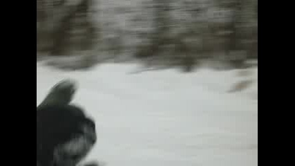 Пързаляне С Найлон