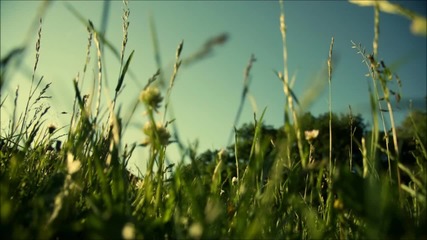 Vexare ft. Sarah Howells - Lanterns