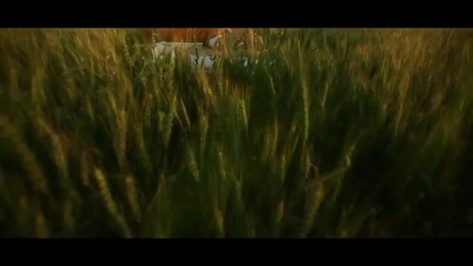 Sasha Lopez ft. Ale Blake & Broono - Everybody Feels Alright (official Video 2012) Hd