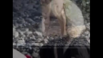 Lady Gaga без грим на плажа с гаджето си 