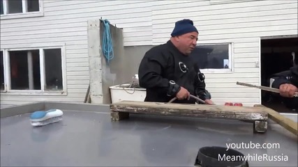 Да те хване Морски дявол !
