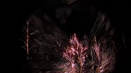 Tales Beyond The Tomb – White Silence