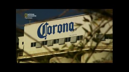 Мегазаводи: Corona ( Бг Аудио )