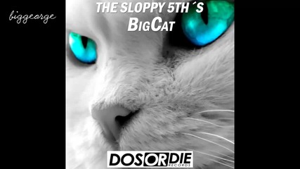 The Sloppy 5th's - Big Cat ( Original Mix )