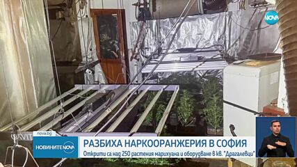 СДВР разби високотехнологична наркооранжерия, задържани са двама