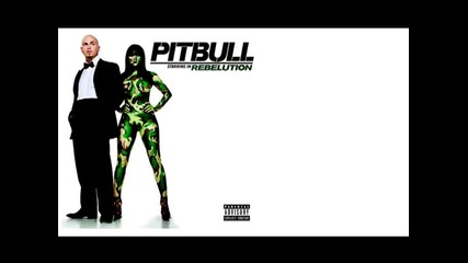 03 - Pitbull - I Know You Want Me (calle Ocho) ( Rebelution 2oo9 )