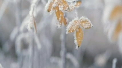 Chopin Nocturne no 8 op 27 no 2