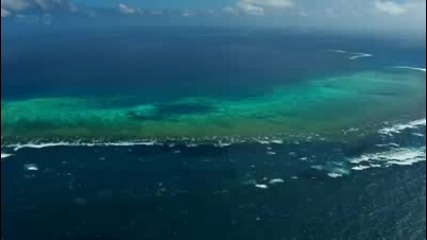 Bbc - "great Barrier Reef" - s01e02 - Reef to Rainforest (2012)