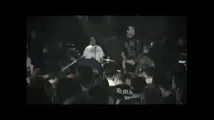 Terror In Black N Blue Bowl
