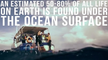 Факти за океана , които най вероятно не знаете