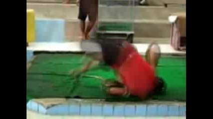 Catching A Snake With Mouth