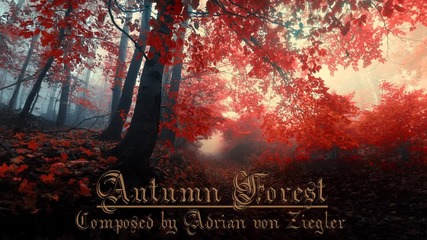 Relaxing Celtic Music - Autumn Forest