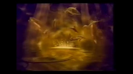 Perception - The reality beyond matter 