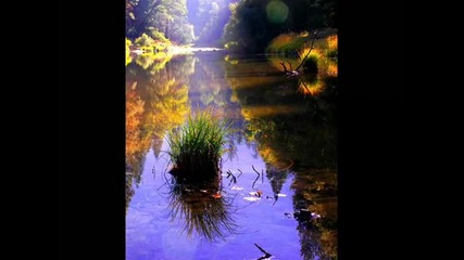 Nature {}
