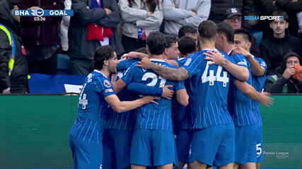 Own Goal by Brighton and Hove Albion