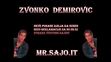 Zvonko Demirovic _12_ Samo Me Djanav - Sajo - It.wmv