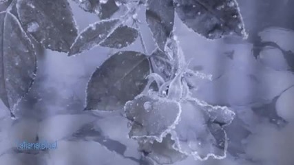 Secret Garden - Frozen in Time